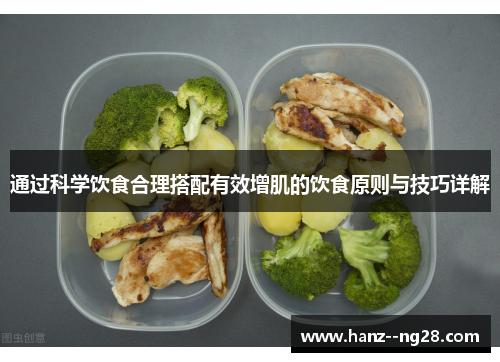 通过科学饮食合理搭配有效增肌的饮食原则与技巧详解