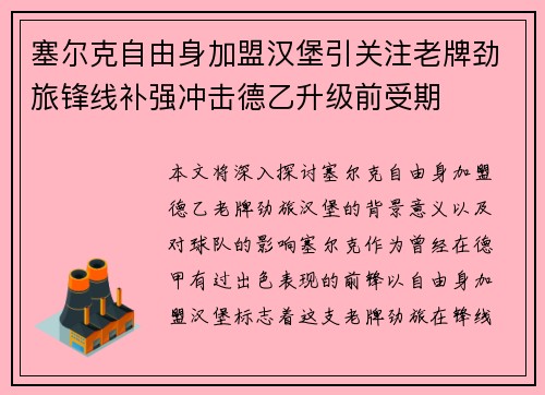 塞尔克自由身加盟汉堡引关注老牌劲旅锋线补强冲击德乙升级前受期